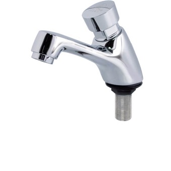 Showy Self Closing Delay Action Basin Tap 2684n Bathroom