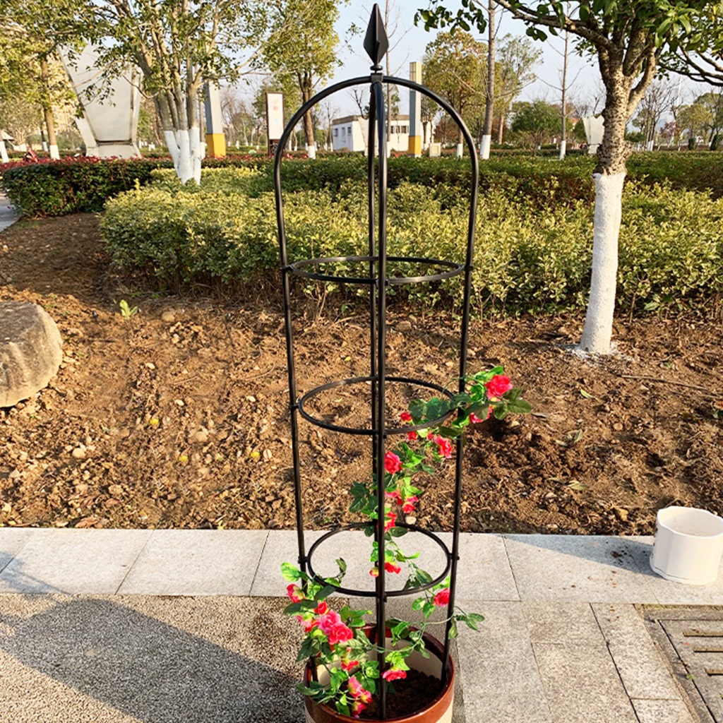 SL DIY GARDENING TRELLIS PLANT SUPPORT LADDER 160CM (ROUND